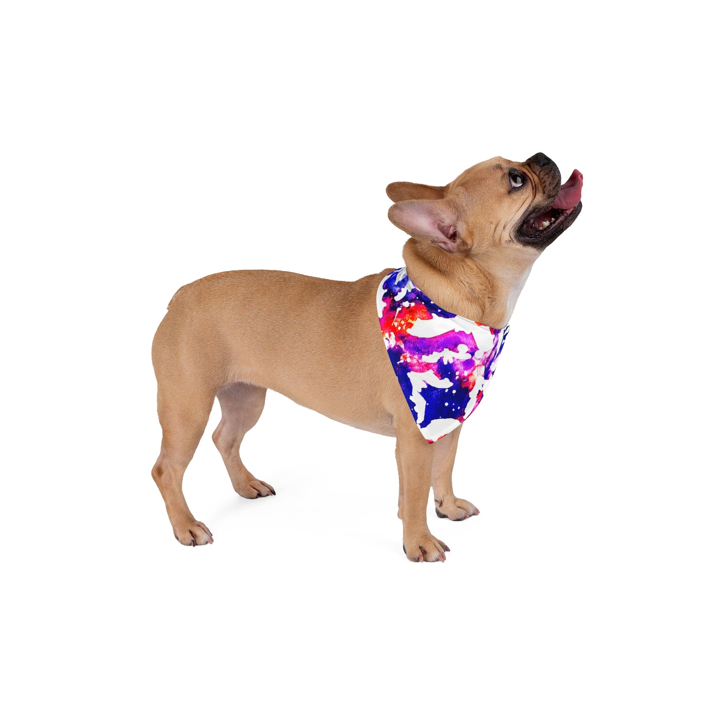 Pet Bandana - Bat Pop Collection
