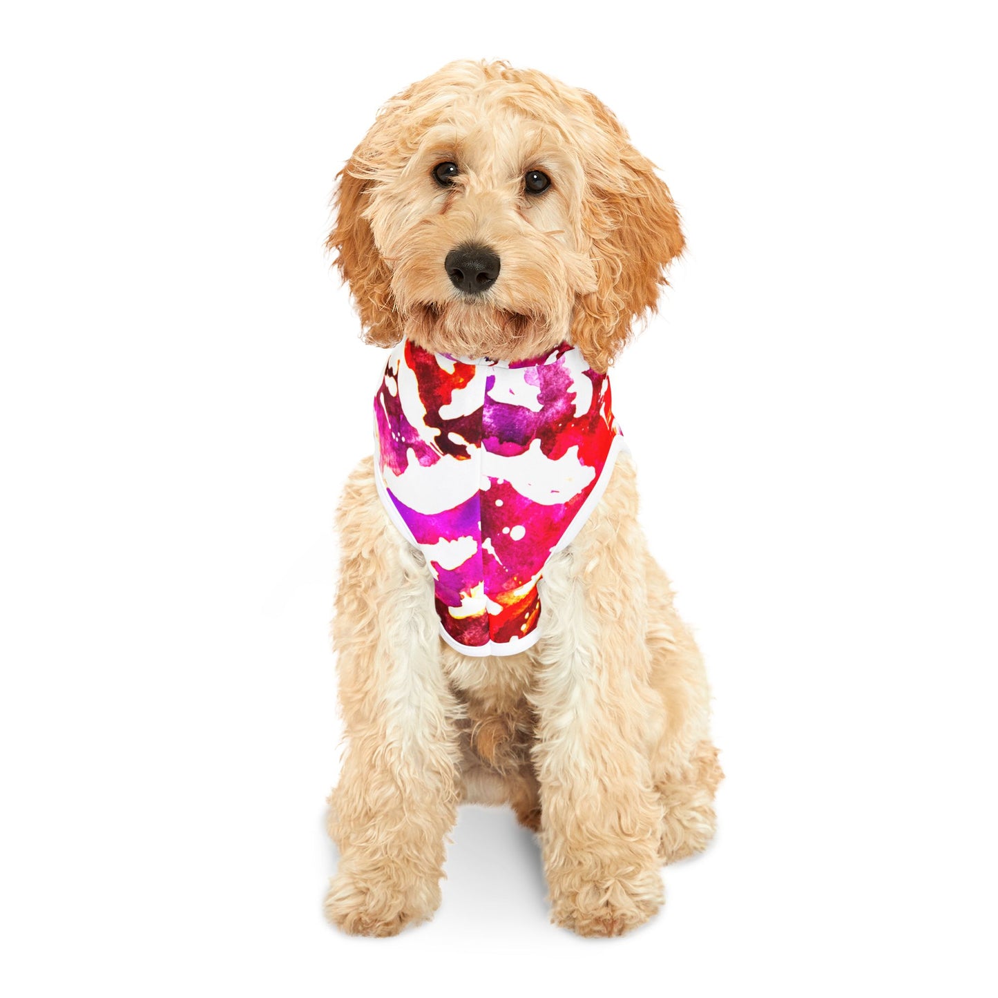 NEW Pet Hoodie - Bat Pop Collection