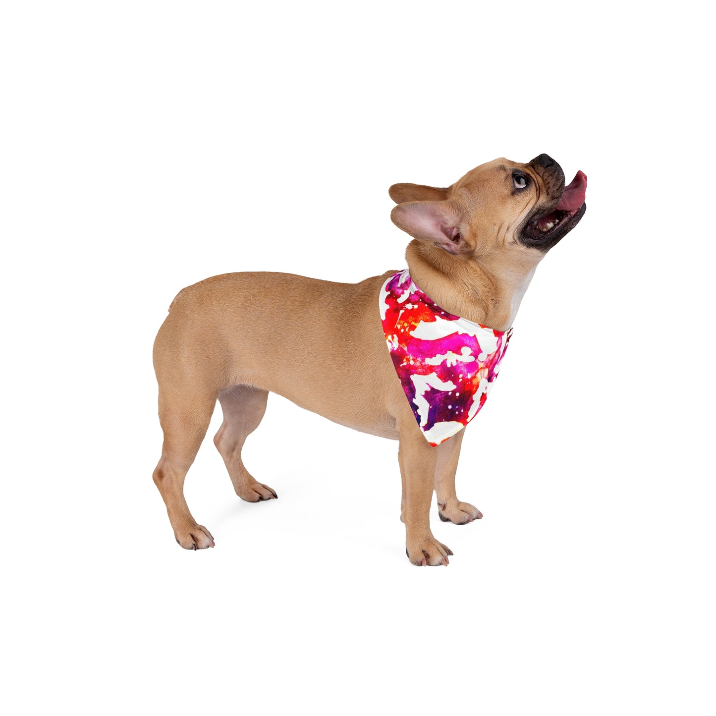 Pet Bandana - Bat Pop Collection