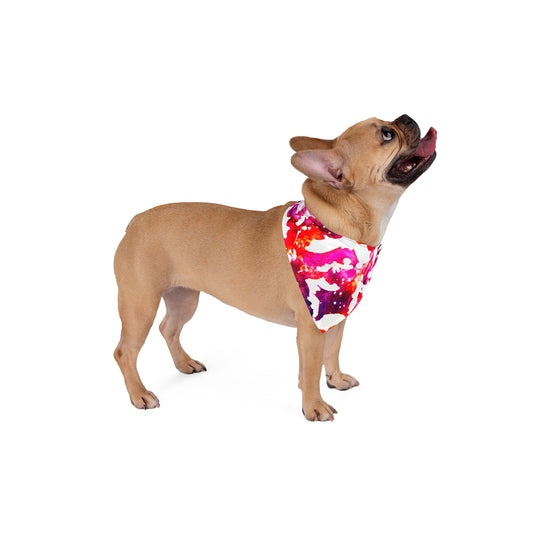 Pet Bandana - Bat Pop Collection